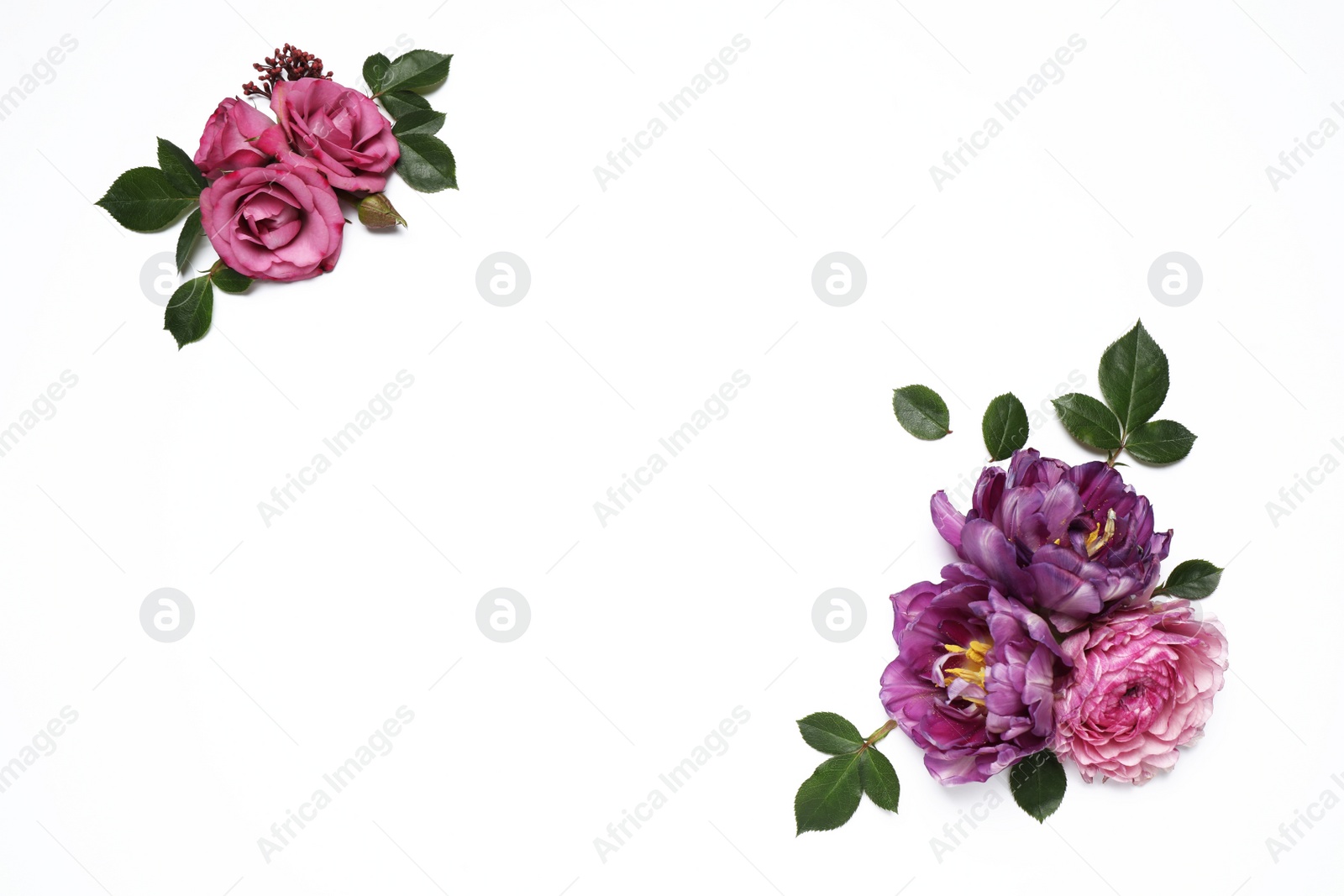 Photo of Beautiful floral composition with flowers on white background, flat lay. Space for text