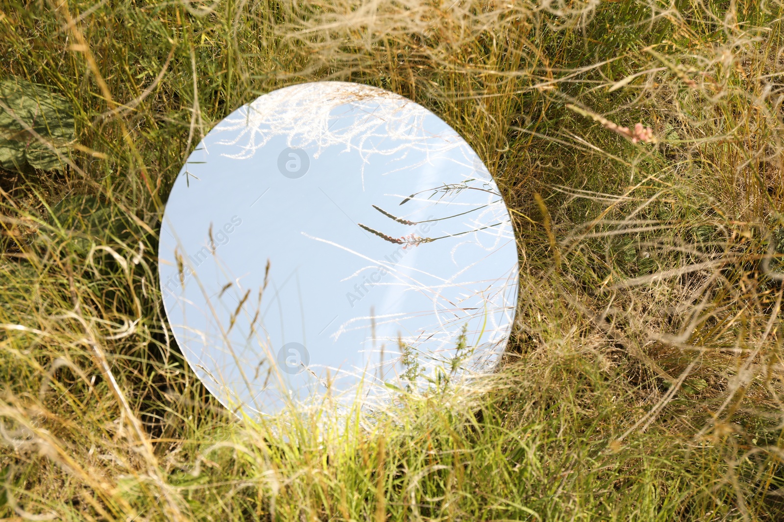 Photo of Spring atmosphere. Round mirror among grass and spikelets on sunny day. Space for text