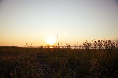 Beautiful view of field at sunrise. Early morning landscape