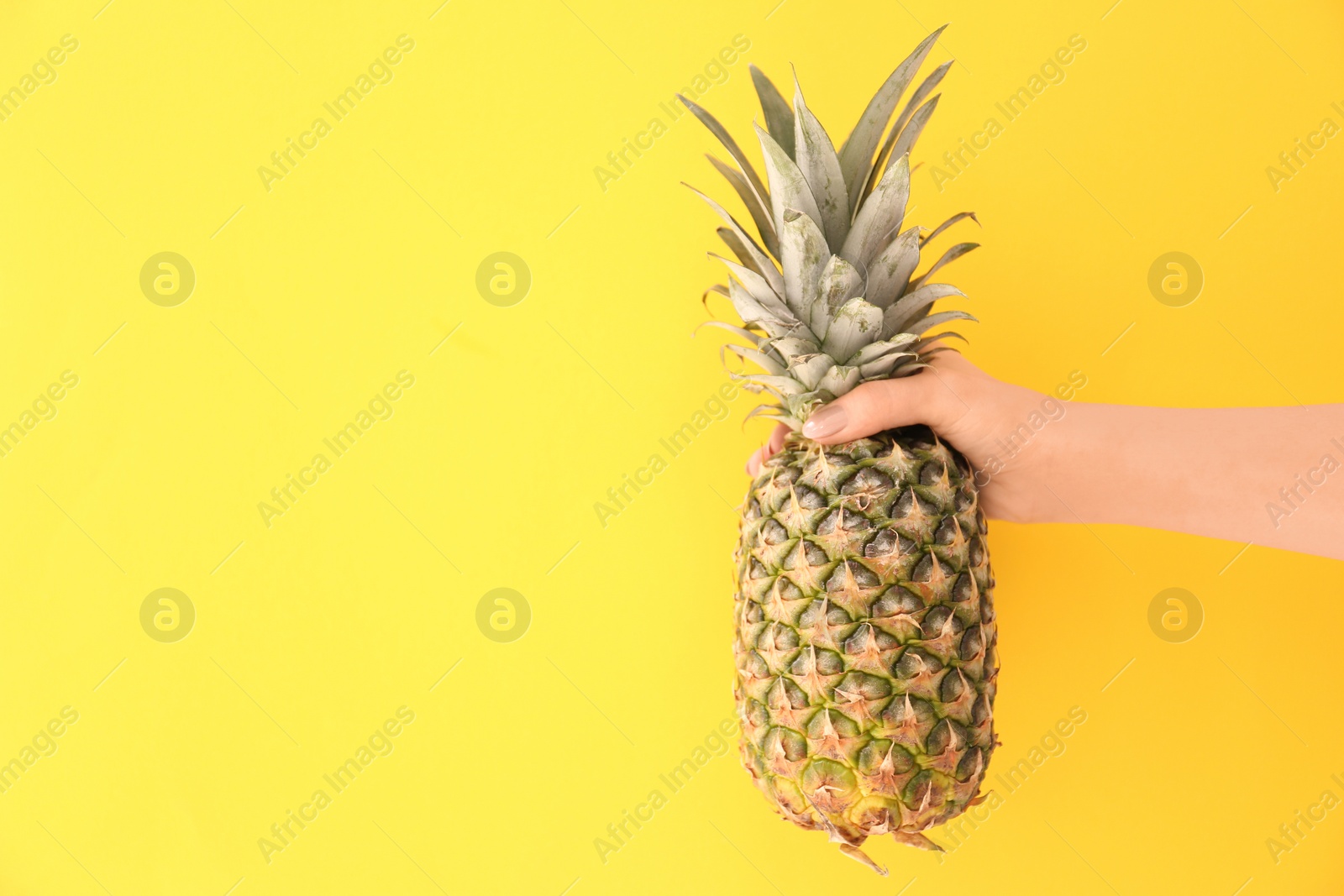 Photo of Woman holding fresh ripe pineapple on color background