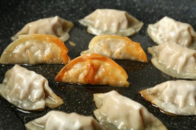 Photo of Cooking gyoza on frying pan with hot oil, closeup