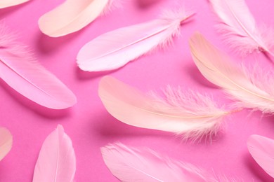 Photo of Beautiful feathers on pink background, closeup view