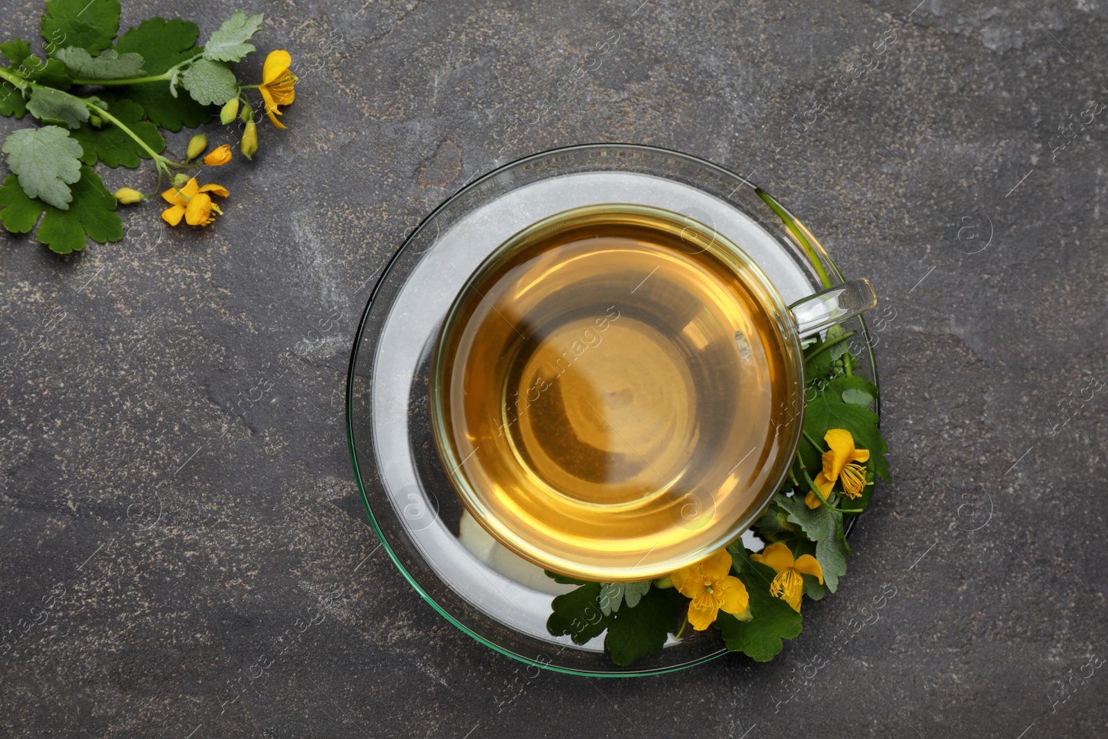 Photo of Glass cup of aromatic celandine tea and flowers on grey table, flat lay