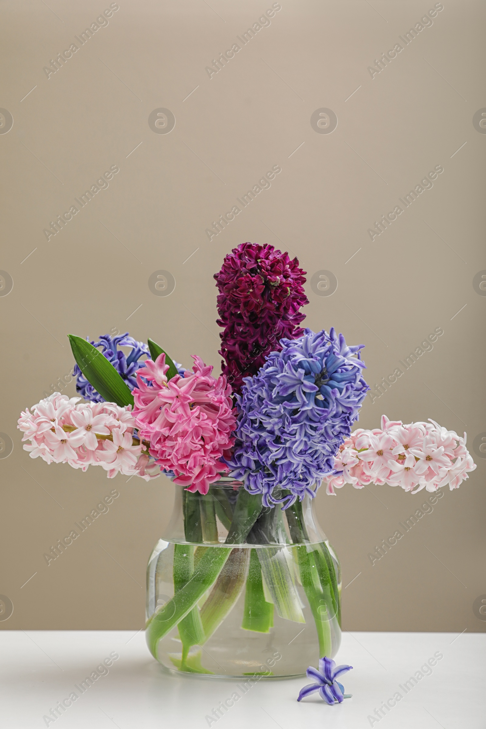 Photo of Beautiful hyacinths in glass vase on table against color background, space for text. Spring flowers