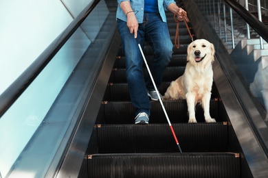 Photo of Blind person with long cane and guide dog on escalator indoors