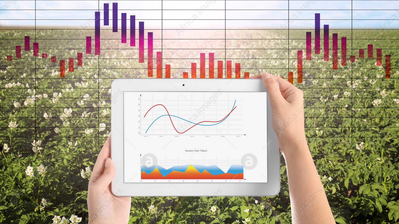 Image of Modern agriculture. Woman with tablet in field and chart, closeup