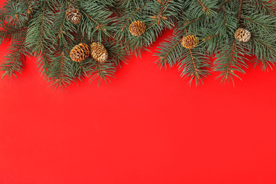 Top view of fir branches on red background, space for text. Winter holidays