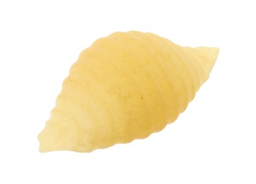 Photo of One piece of raw conchiglie pasta isolated on white