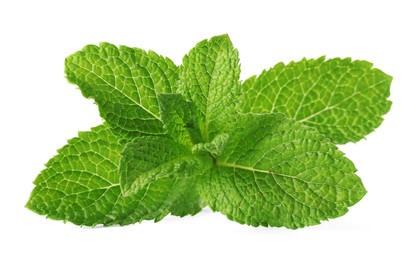 Photo of Fresh green mint leaves isolated on white