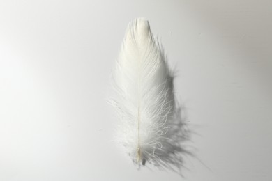 Photo of Fluffy white feather on light background, top view