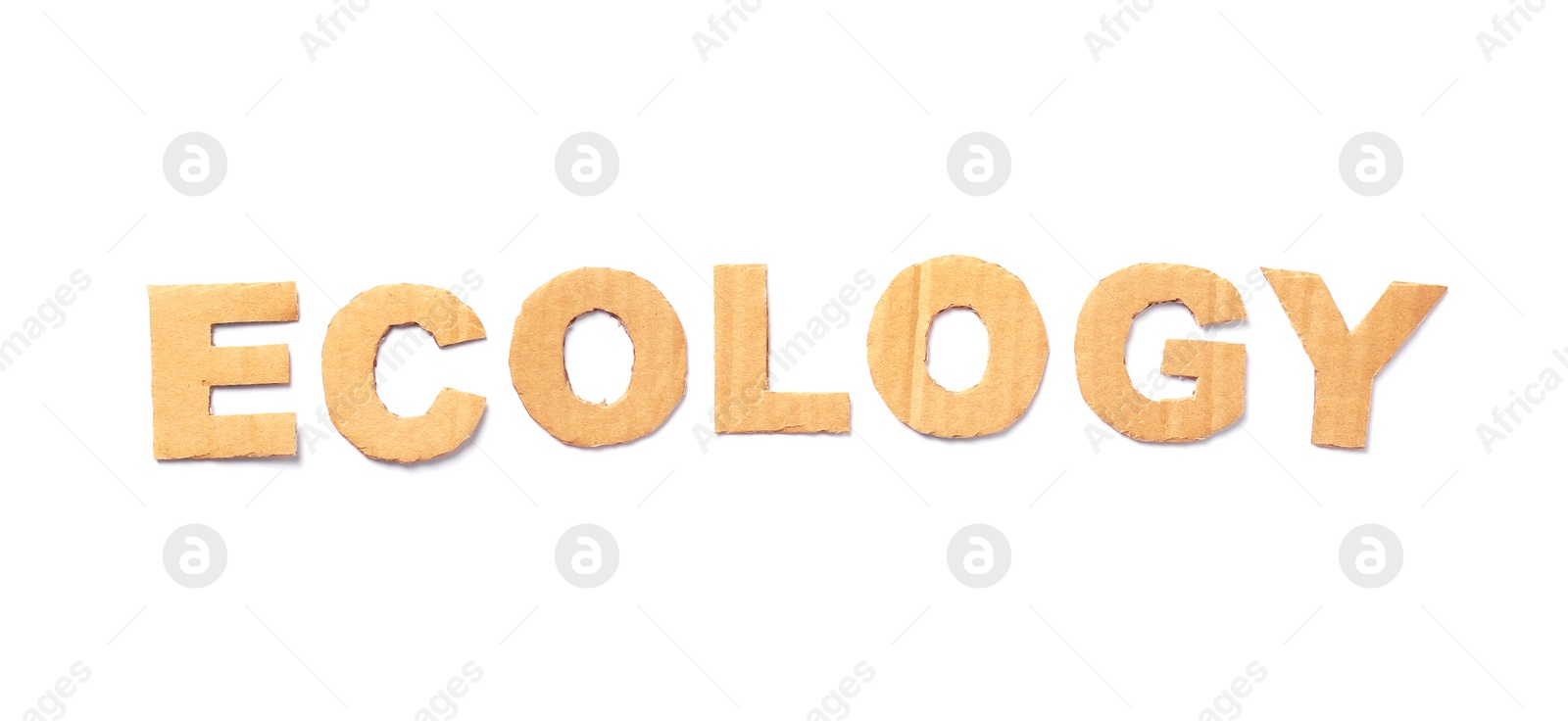 Photo of Word "Ecology" made of cardboard letters on white background