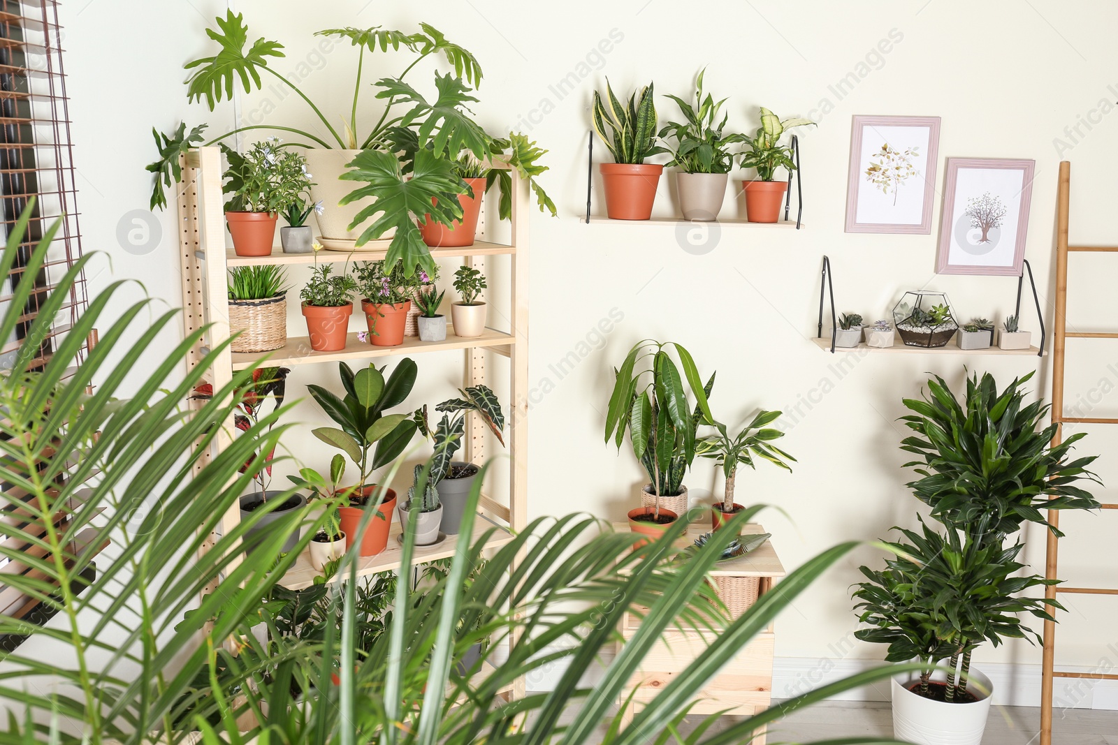 Photo of Stylish room interior with different home plants