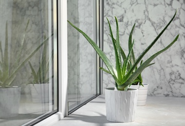 Potted aloe vera plant on windowsill in room. Space for text