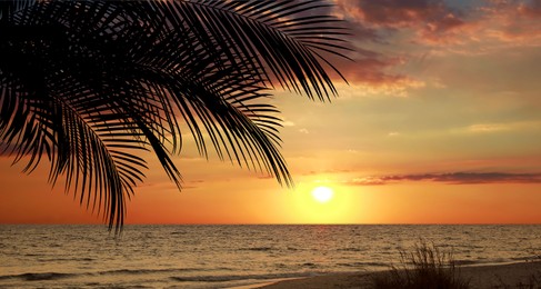 Image of Picturesque view of tropical beach with palm tree at sunset