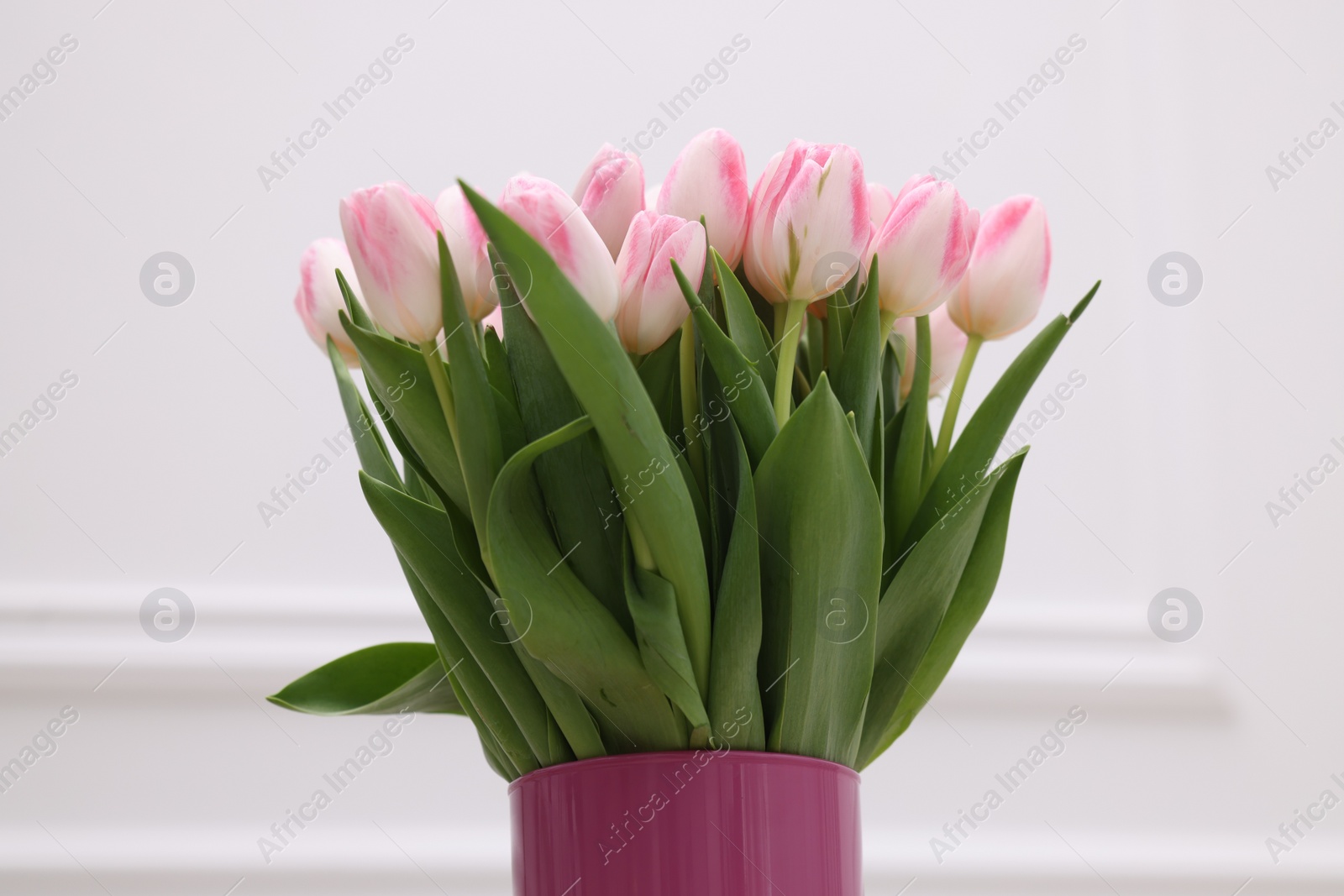 Photo of Beautiful bouquet of fresh pink tulips on white background