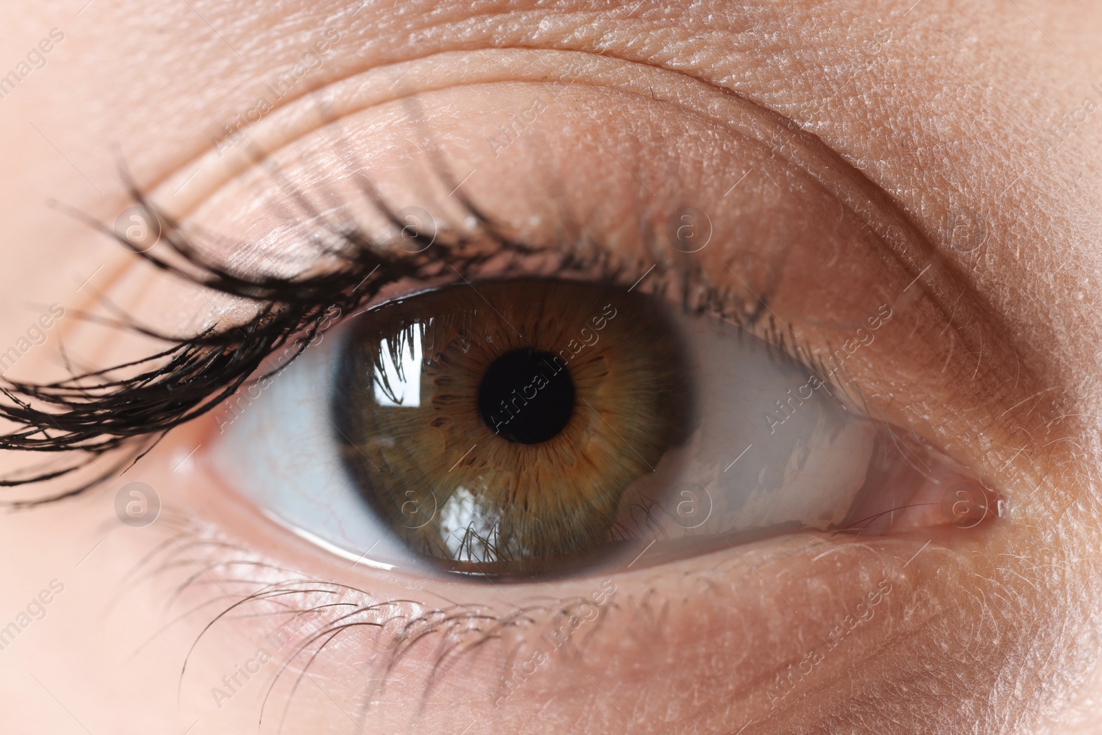 Photo of Macro photo of woman with beautiful eyes