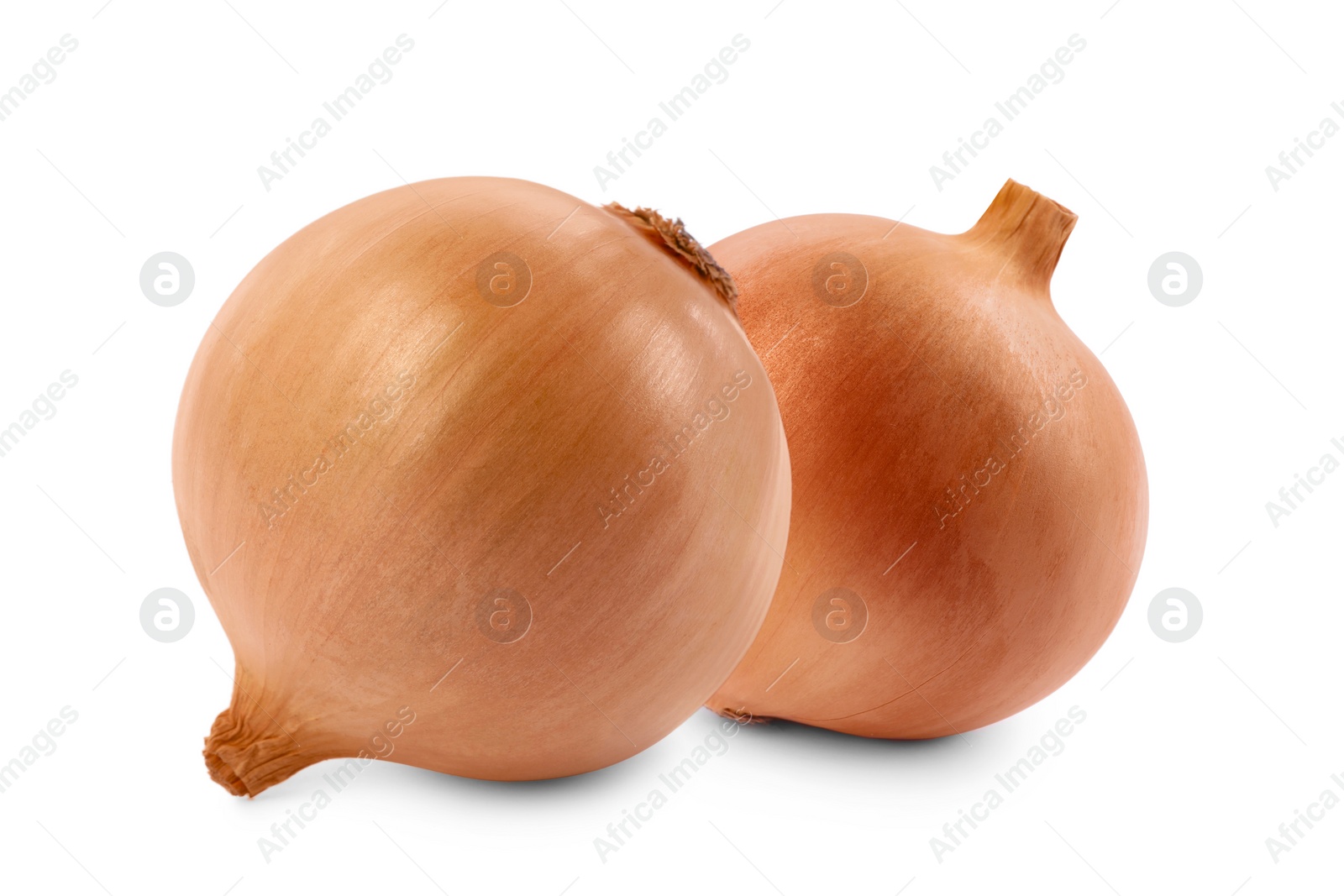 Image of Two whole fresh onion bulbs isolated on white