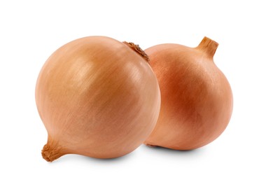 Two whole fresh onion bulbs isolated on white