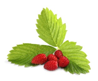 Ripe wild strawberries and green leaves isolated on white