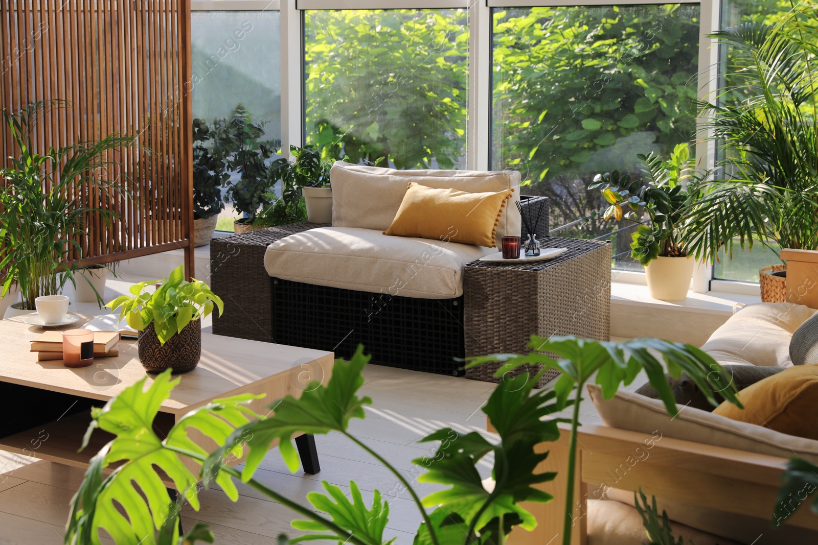 Photo of Indoor terrace interior with modern furniture and houseplants