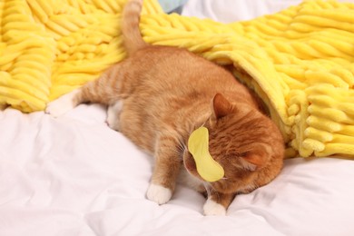 Photo of Cute ginger cat with sleep mask resting on bed