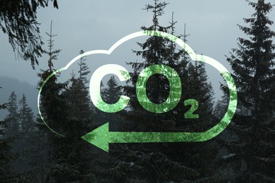 Concept of clear air. CO2 inscription in illustration of cloud with arrow and beautiful forest