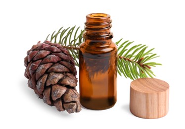 Photo of Bottlepine essential oil, tree branch and cone on white background