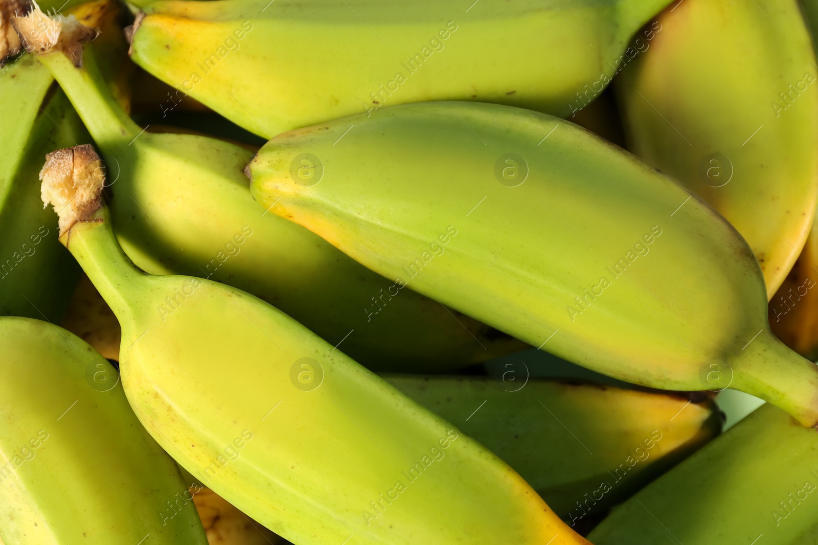 Photo of Delicious green pear bananas as background, top view