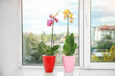 Photo of Beautiful tropical orchid flowers in pots on windowsill