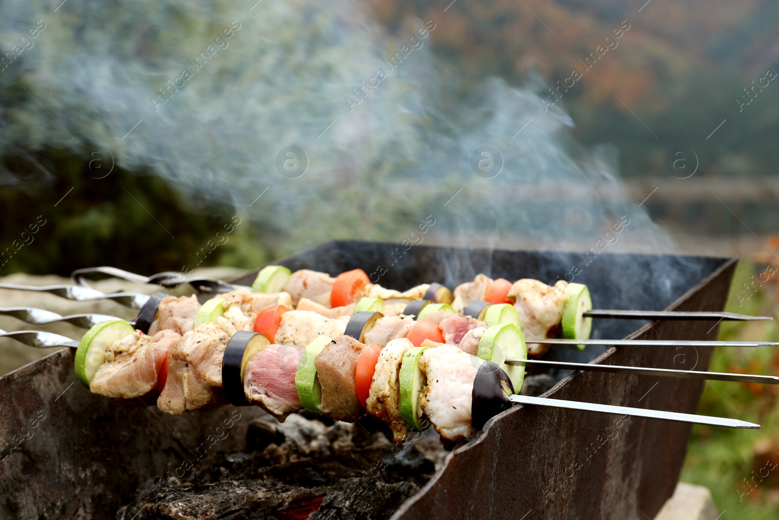 Photo of Cooking meat and vegetables on brazier outdoors