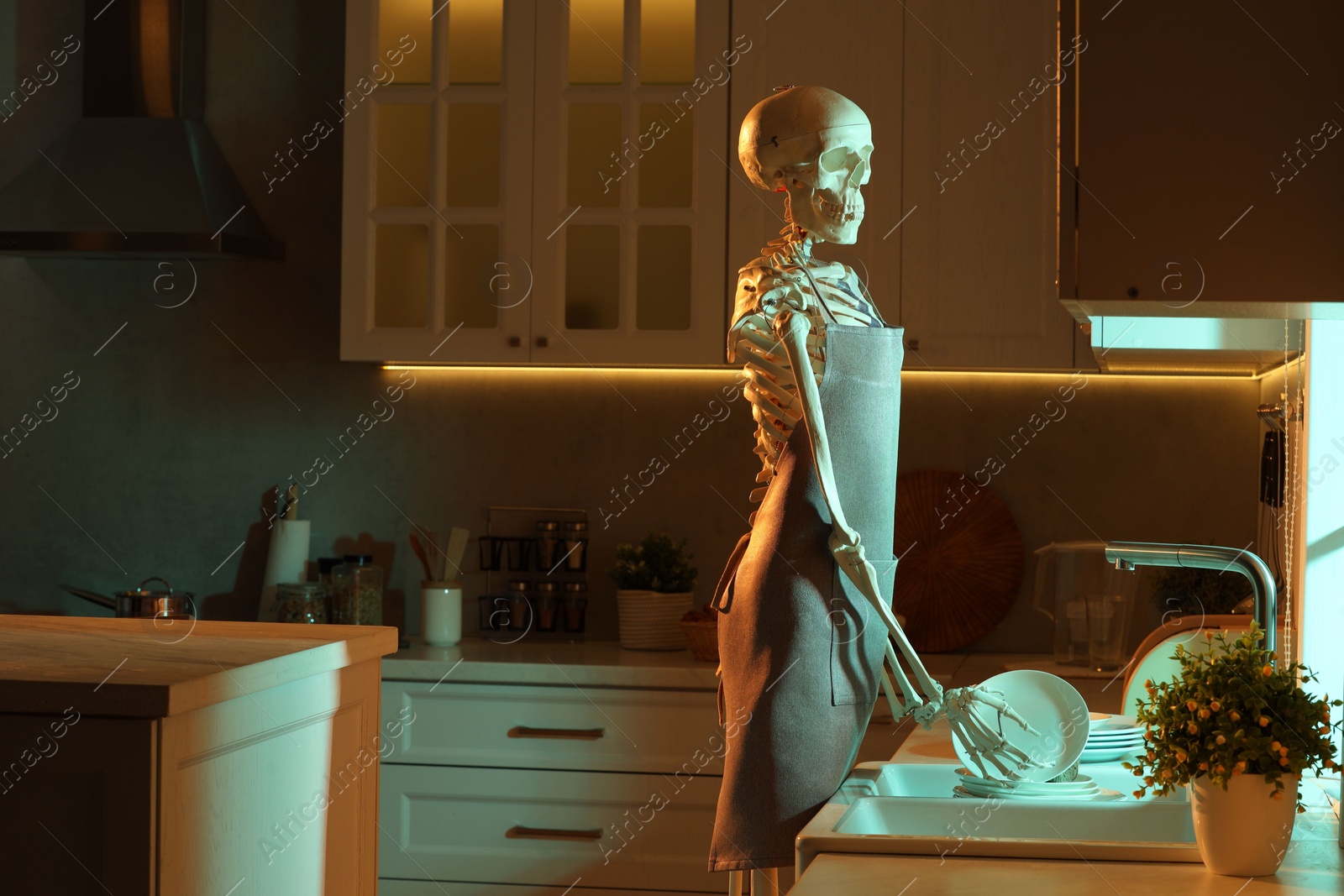 Photo of Human skeleton washing dishes in kitchen sink at night