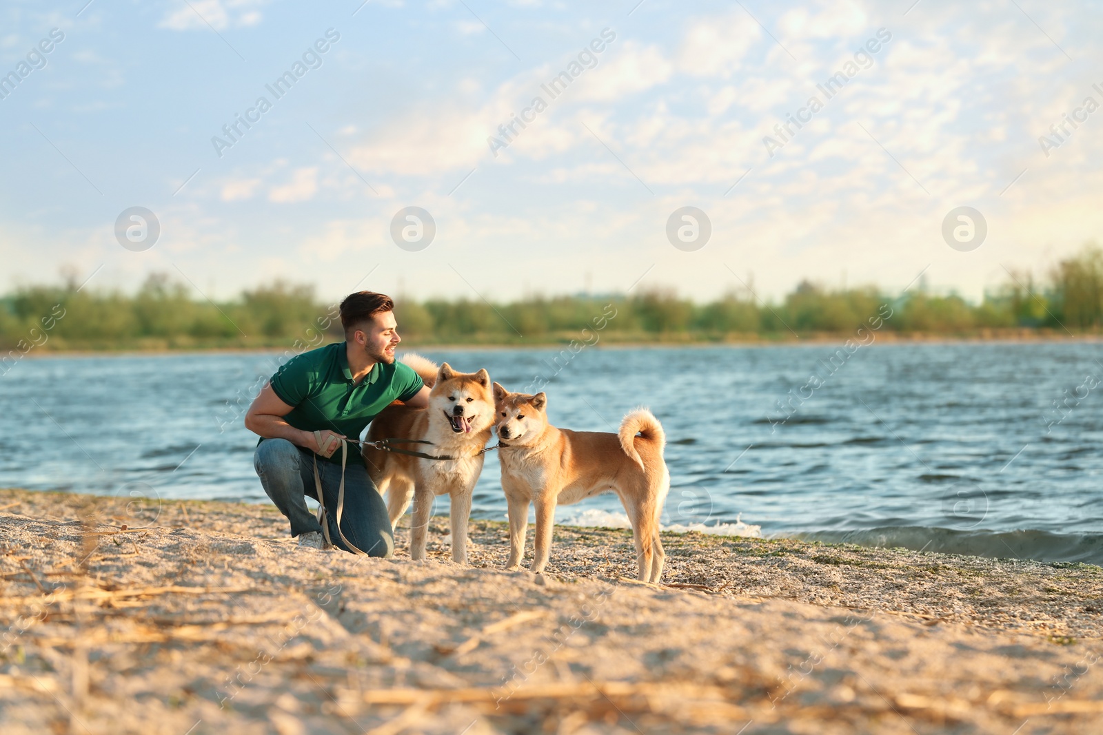 Photo of Young man walking his adorable Akita Inu dogs near river