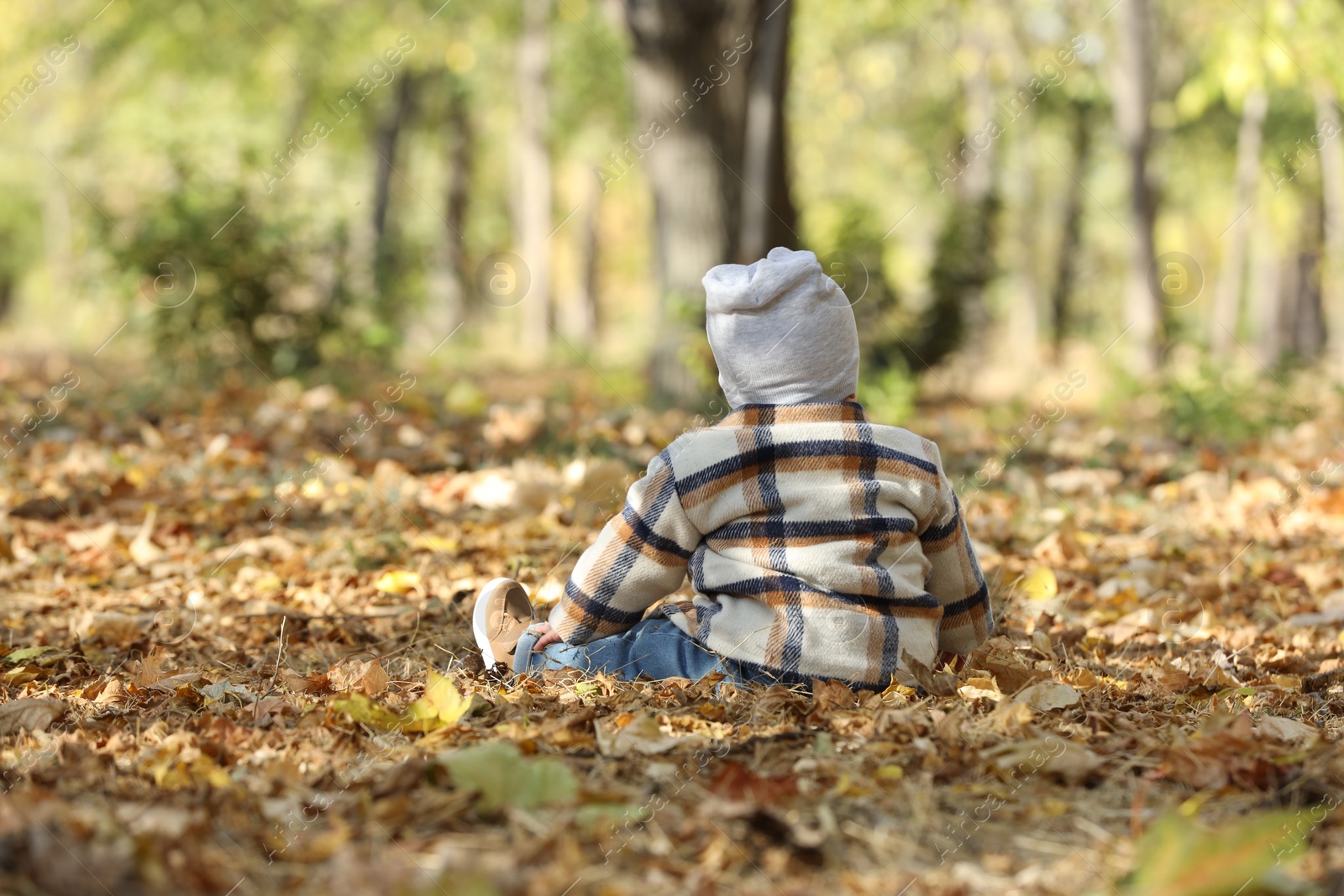 Photo of Cute little child on ground with dry leaves in autumn park, back view. Space for text