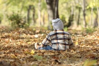 Cute little child on ground with dry leaves in autumn park, back view. Space for text