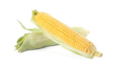 Photo of Ripe raw corn cobs with husk on white background