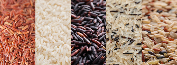 Image of Collage with different types of rice, closeup. Banner design