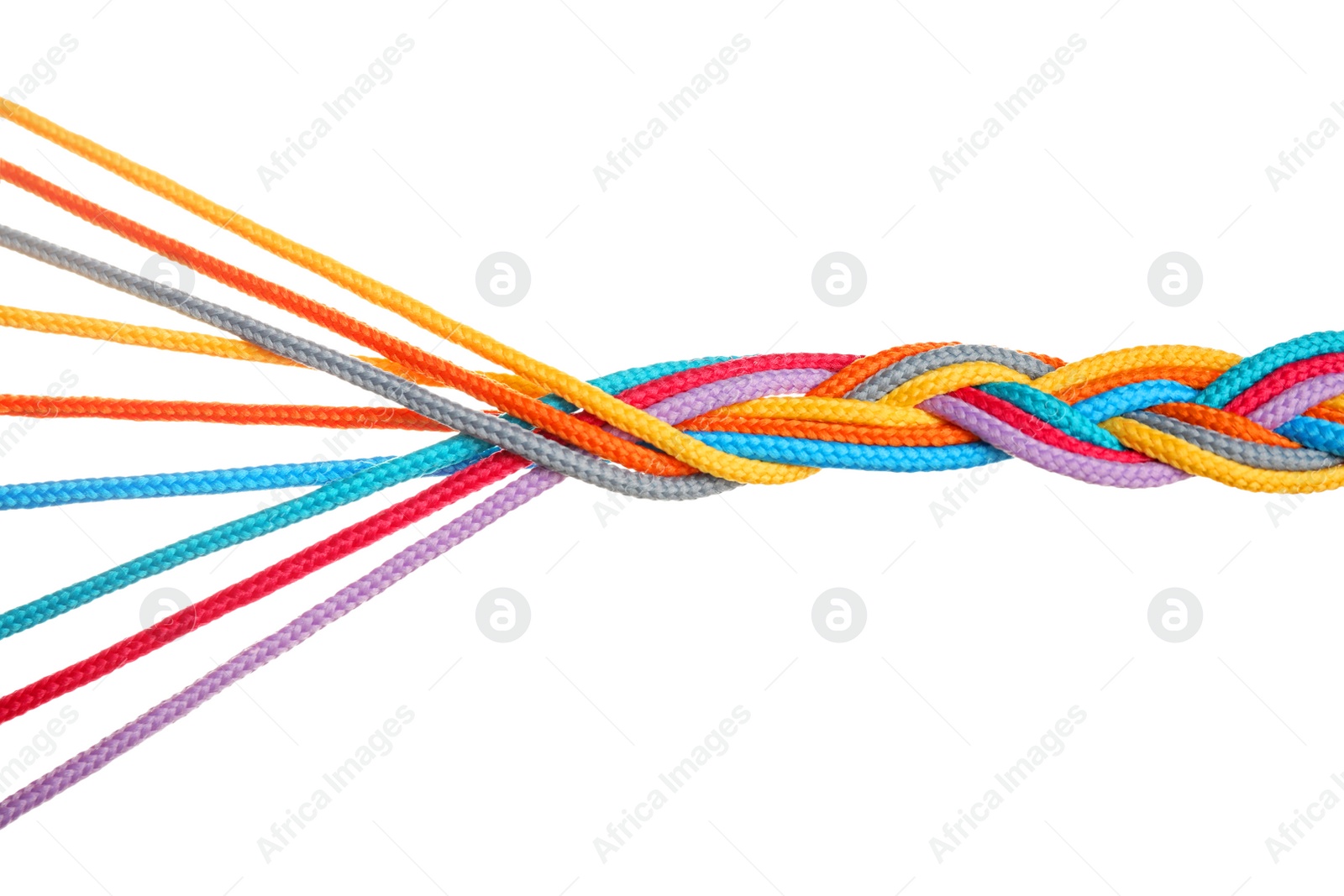 Photo of Braided colorful ropes isolated on white. Unity concept