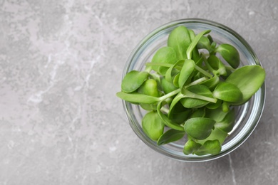Photo of Fresh organic microgreen in bowl on grey table, top view. Space for text