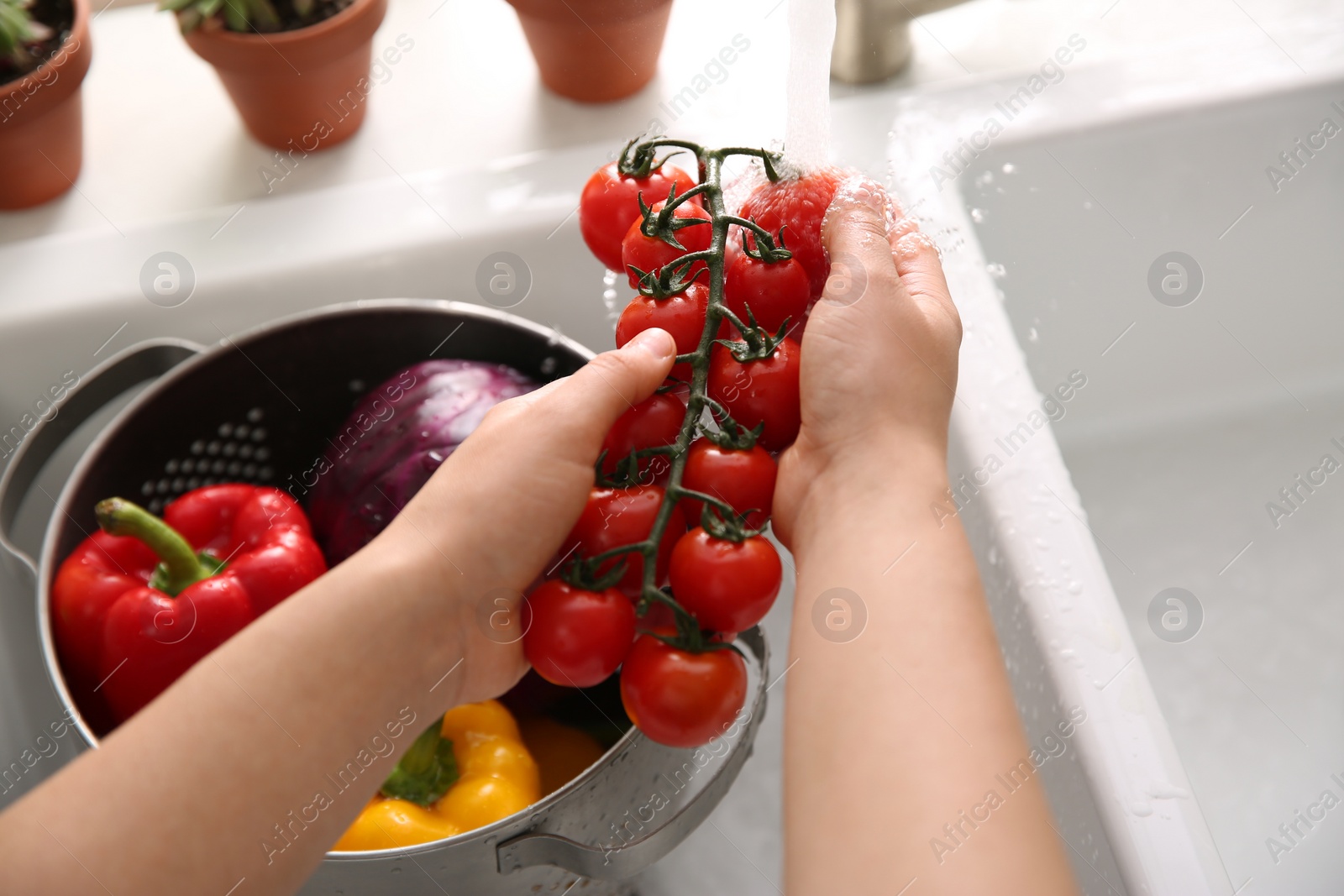 Photo of Woman washing fresh cherry tomatoes in kitchen sink, closeup