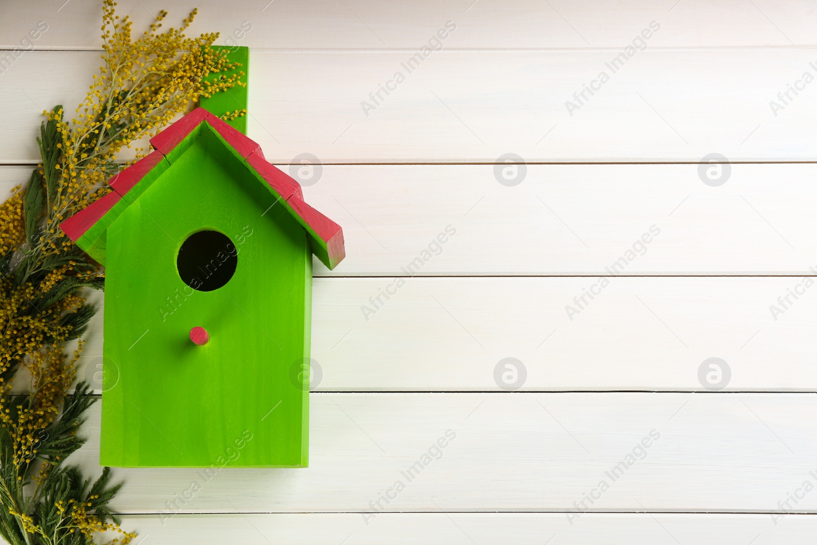 Photo of Beautiful green bird house and mimosa flowers on white wooden background, flat lay. Spring composition with space for text