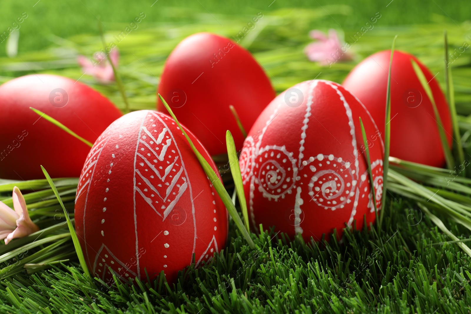 Photo of Red painted Easter eggs on green grass