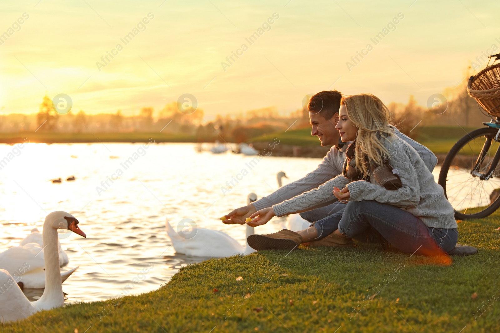 Photo of Young couple near lake with swans at sunset. Perfect place for picnic