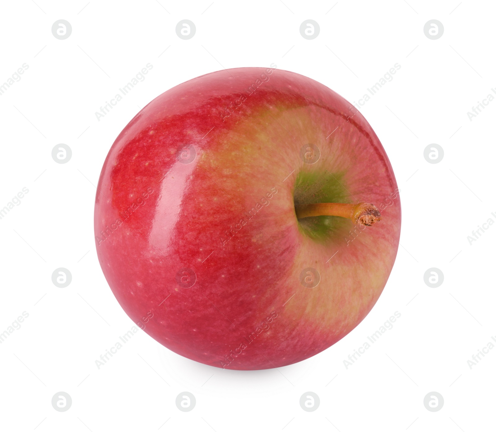 Photo of One ripe red apple isolated on white