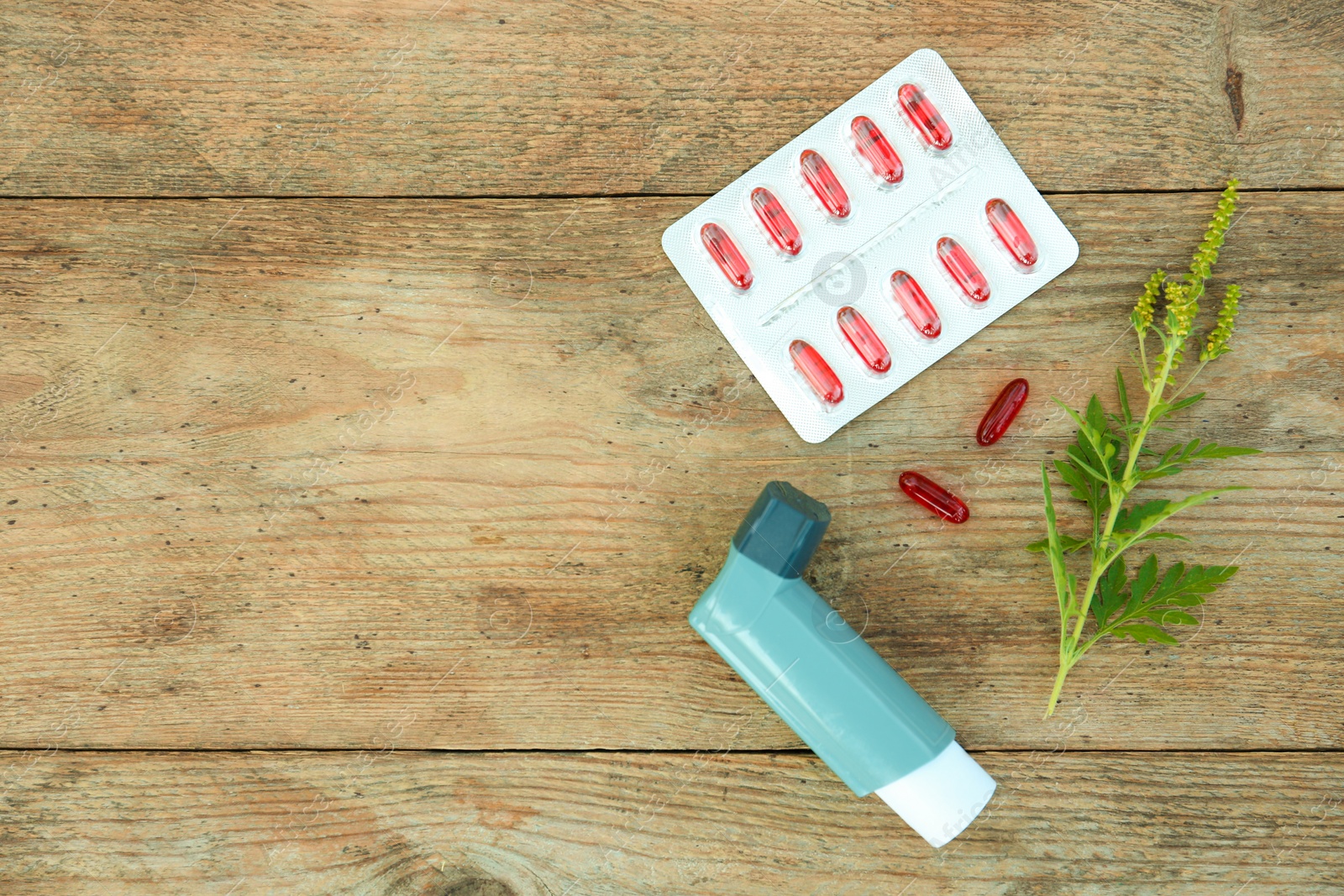 Photo of Ragweed (Ambrosia) branch, inhaler and pills on wooden table, flat lay with space for text. Seasonal allergy