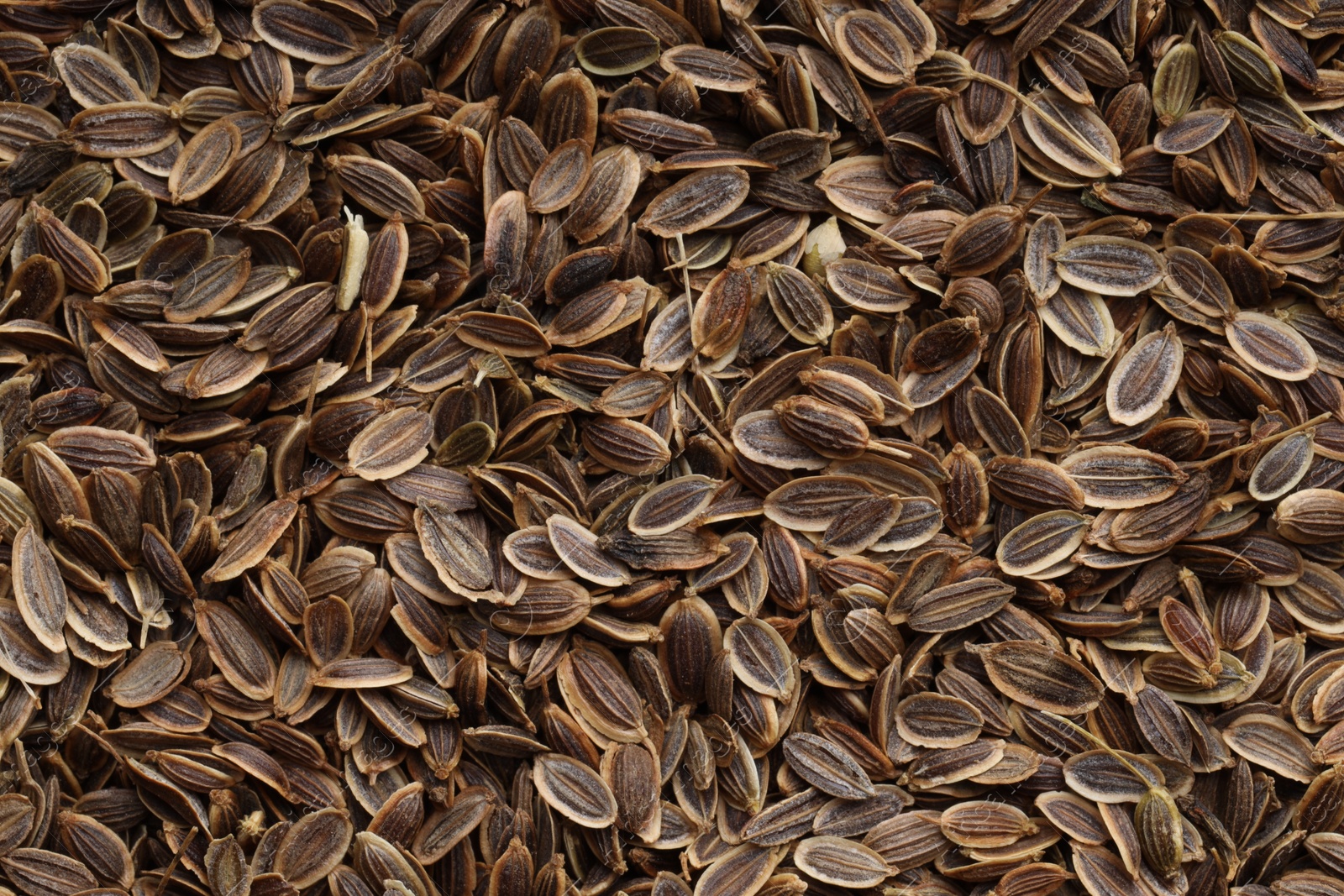 Photo of Many dry dill seeds as background, top view