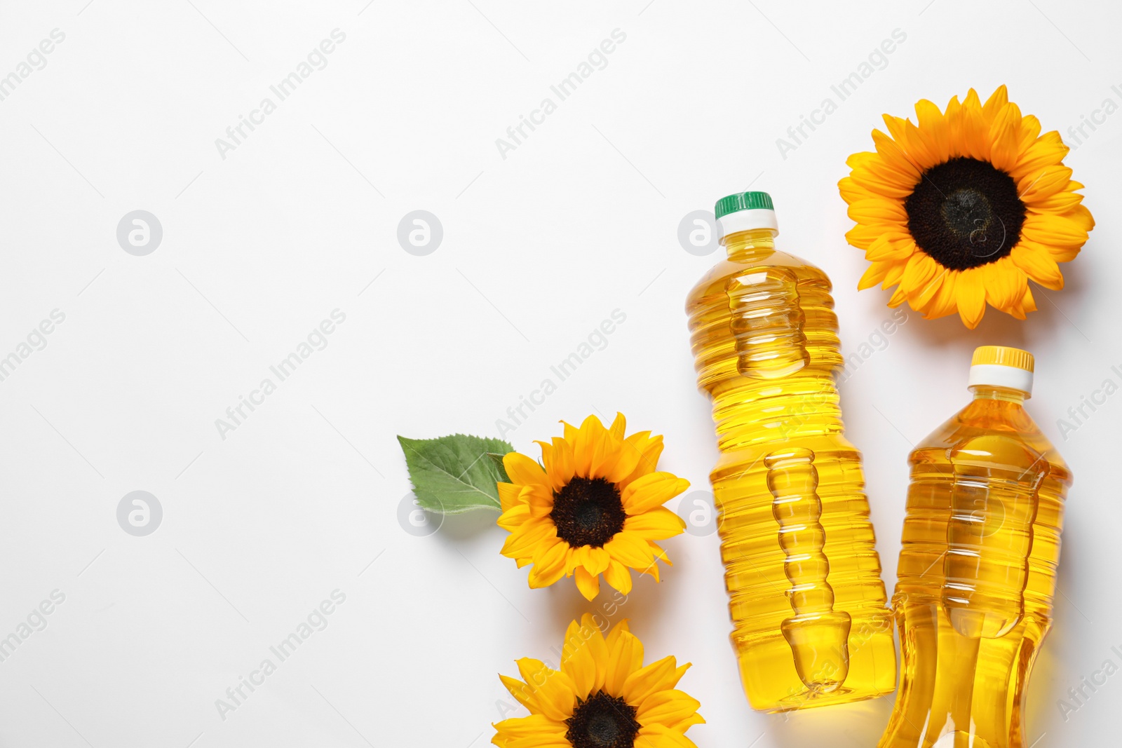 Photo of Bottles of cooking oil and sunflowers on white table, flat lay. Space for text