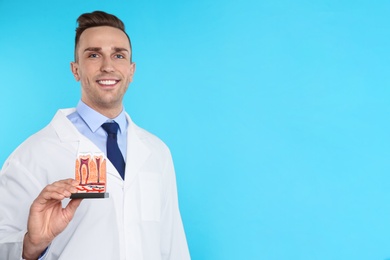 Photo of Male dentist holding teeth model on color background. Space for text