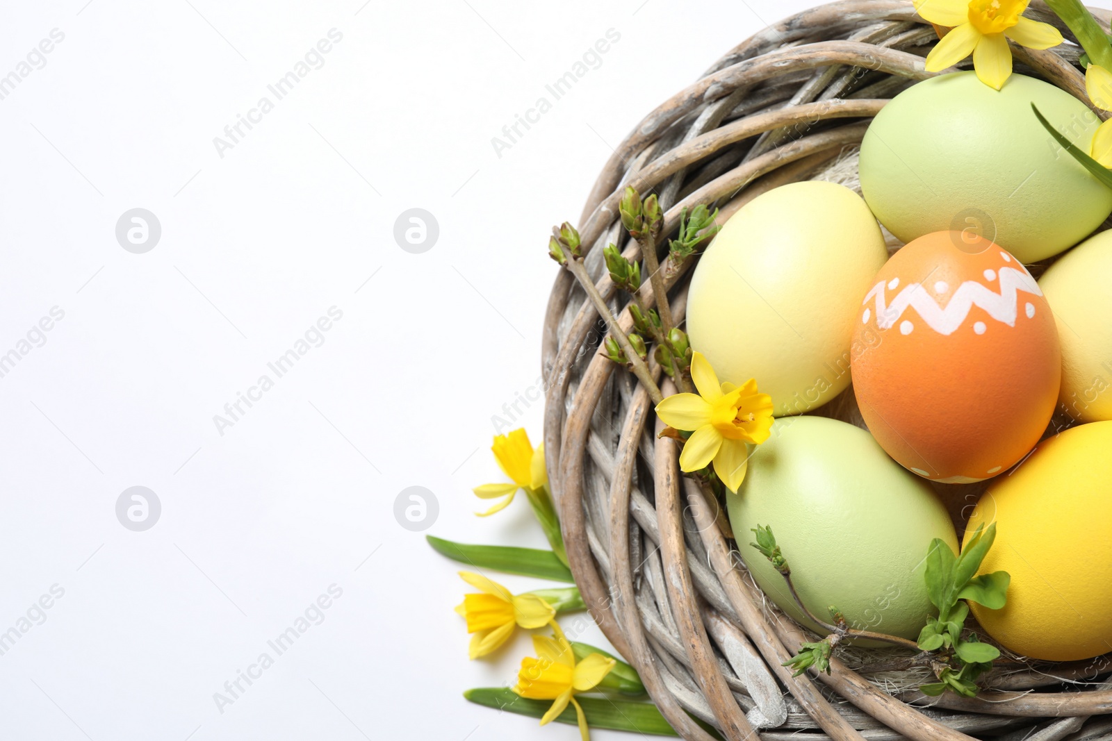 Photo of Colorful Easter eggs in decorative nest on white background, top view