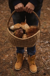 Photo of Man with basket full of wild mushrooms in autumn forest, closeup