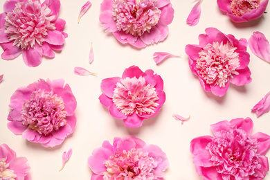 Beautiful fresh peonies on beige background, flat lay